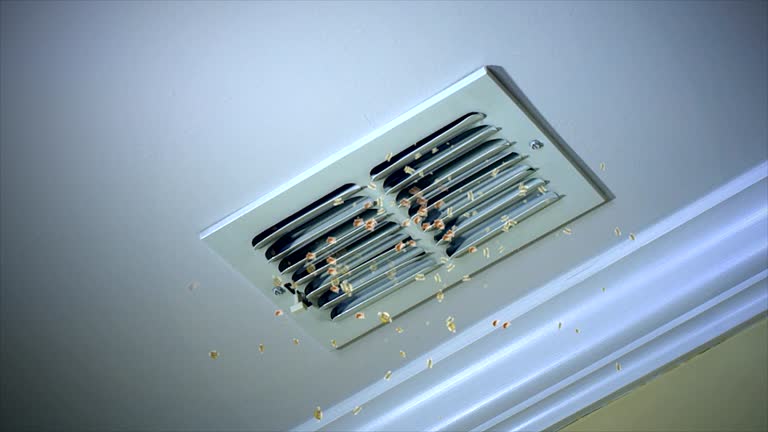 Best Affordable Duct Cleaning Services  in Carpendale, WV