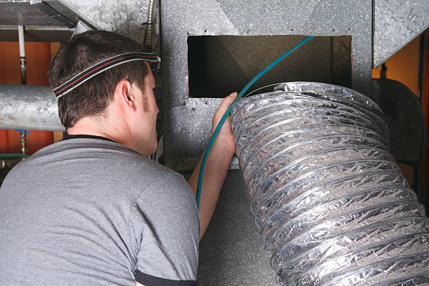 Best Ductwork Cleaning Services  in Carpendale, WV