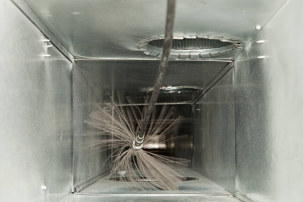 Best Local Air Duct Cleaning Services  in Carpendale, WV