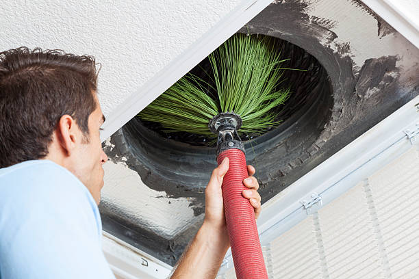 Best Residential Air Duct Cleaning  in Carpendale, WV