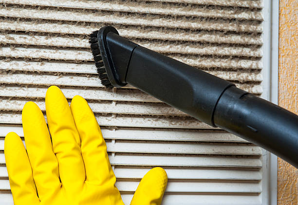 Best Ductwork Cleaning Services  in Carpendale, WV